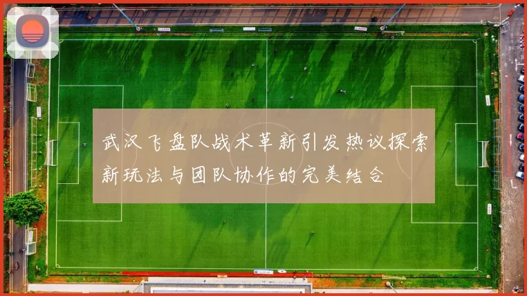 武汉飞盘队战术革新引发热议探索新玩法与团队协作的完美结合