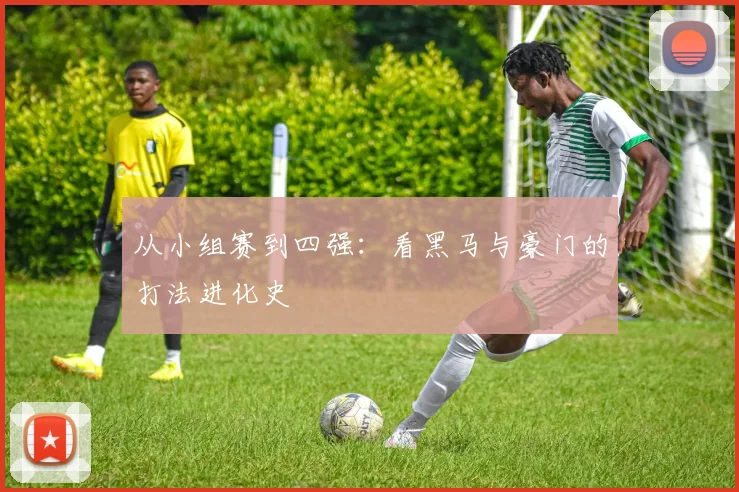 从小组赛到四强：看黑马与豪门的打法进化史