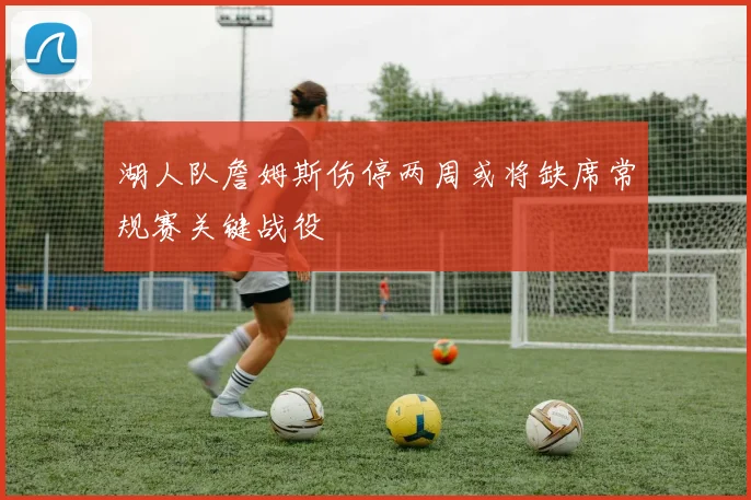 湖人队詹姆斯伤停两周或将缺席常规赛关键战役