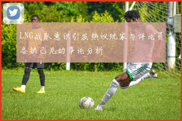 LNG战队意识引发热议玩家与评论员各执己见的争论分析