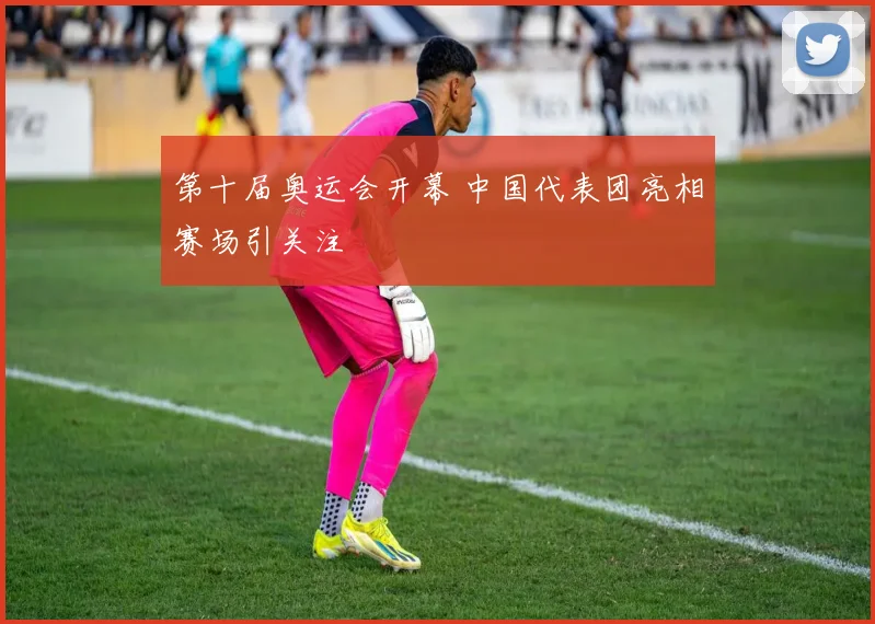 第十届奥运会开幕 中国代表团亮相赛场引关注