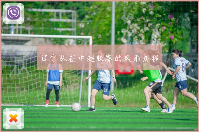 辽宁队在中超联赛的风雨历程