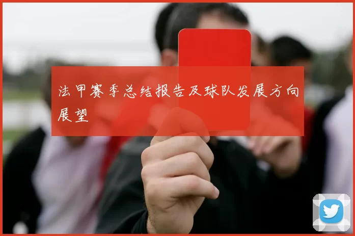 法甲赛季总结报告及球队发展方向展望