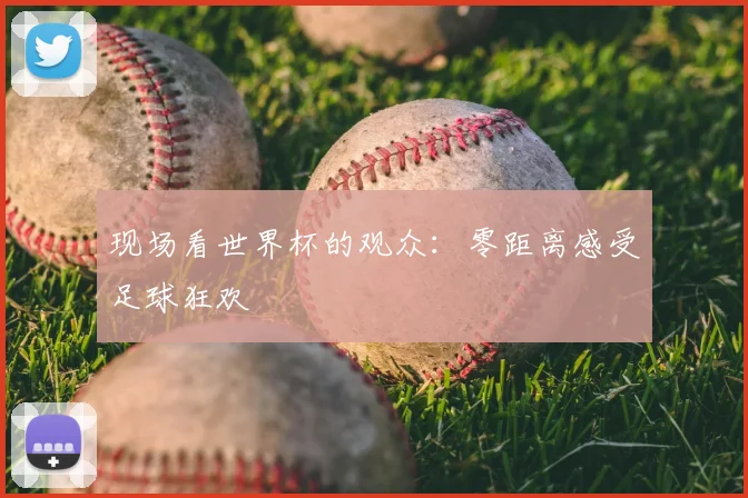 现场看世界杯的观众:零距离感受足球狂欢