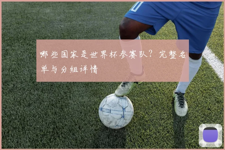 哪些国家是世界杯参赛队？完整名单与分组详情