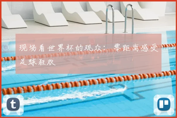 现场看世界杯的观众：零距离感受足球狂欢